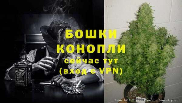 винт Касимов