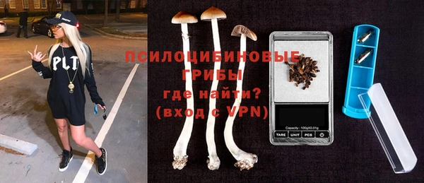 винт Касимов