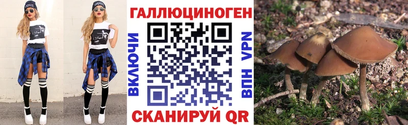 Галлюциногенные грибы мицелий  цена   Астрахань 