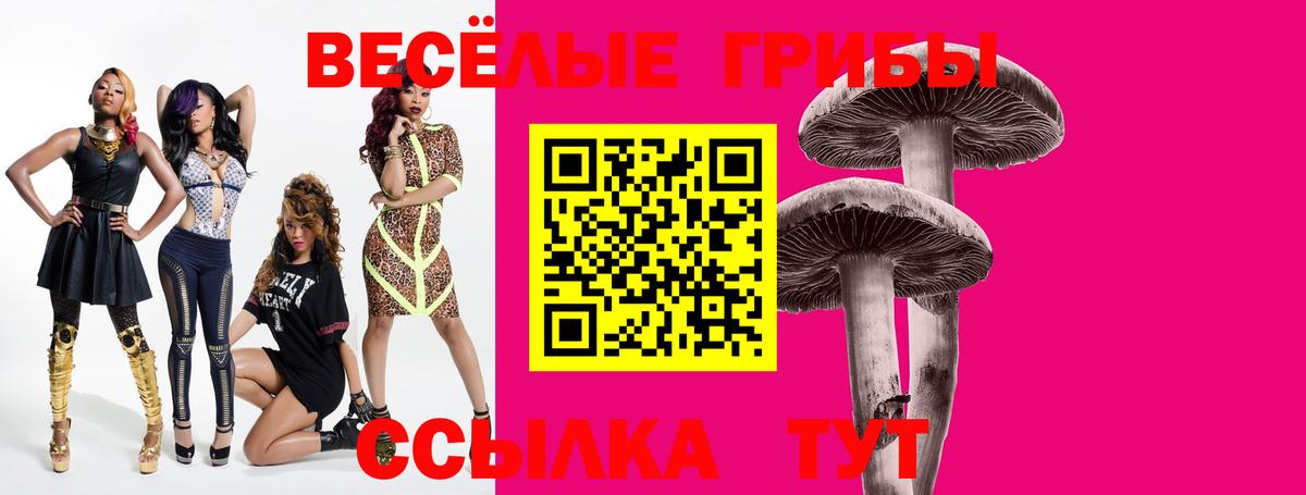 Астрахань  Псилоцибиновые грибы мухоморы  Вход с VPN 